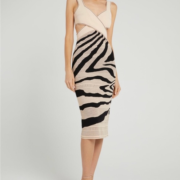 Roberto Cavalli Dresses & Skirts - Roberto Cavalli Beige and Black Midi Dress